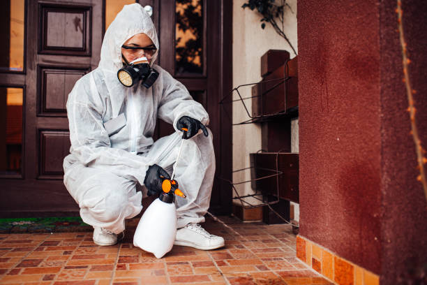 Reliable Cockroach Control contractor in Holdrege, NE by Nex Pest Control