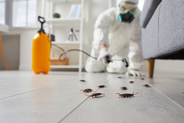 Trusted Cockroach Control service in Holdrege, NE - Nex Pest Control